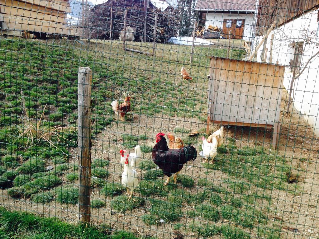 Ferienhof Formegg Hopfgarten im Brixental Dış mekan fotoğraf